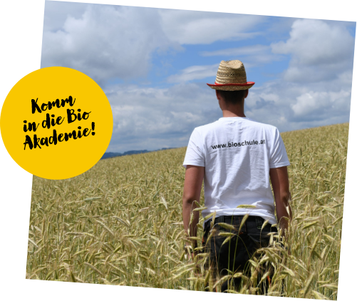 Junger Mann im Getreidefeld, darüber ein Sticker mit der Aufschrift: Komm in die BioAkademie!